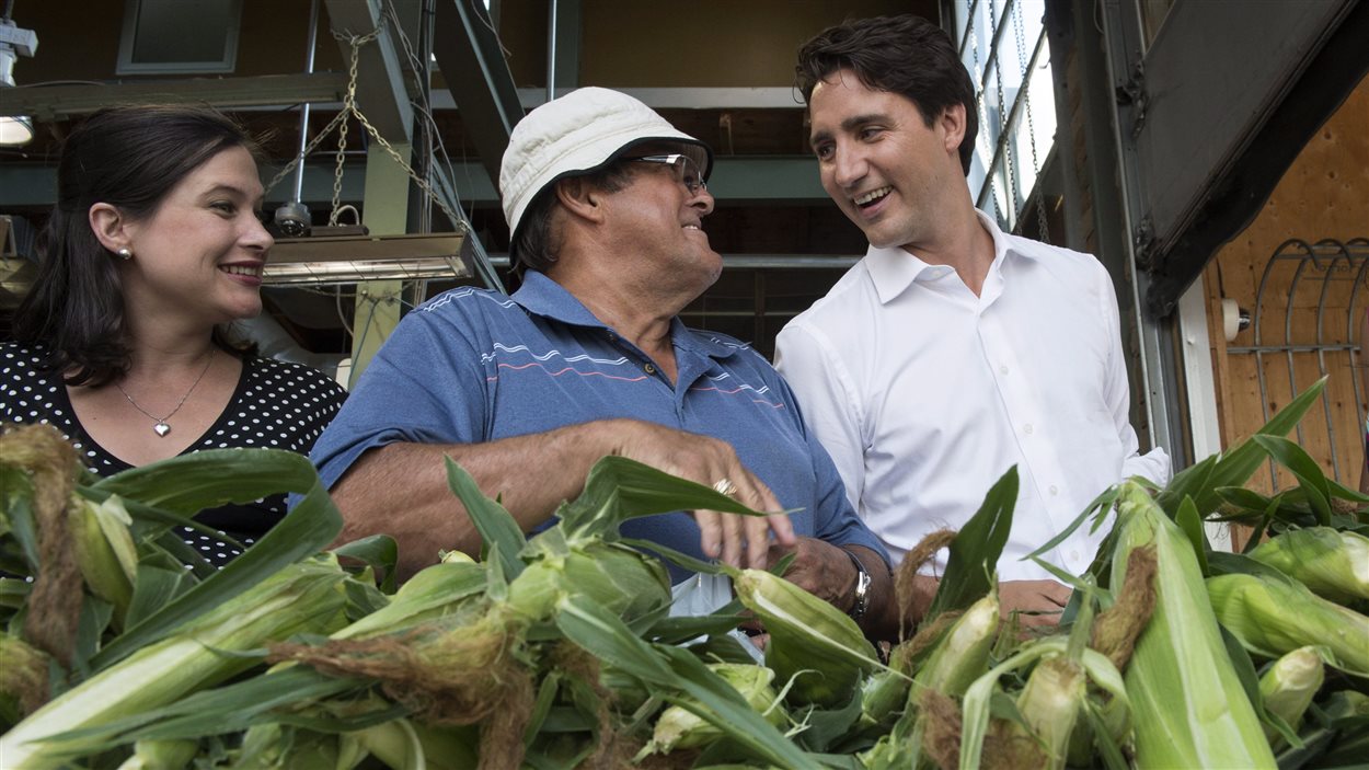 Justin Trudeau rencontre des citoyens dans un marché, à Montréal, le 31 juillet.