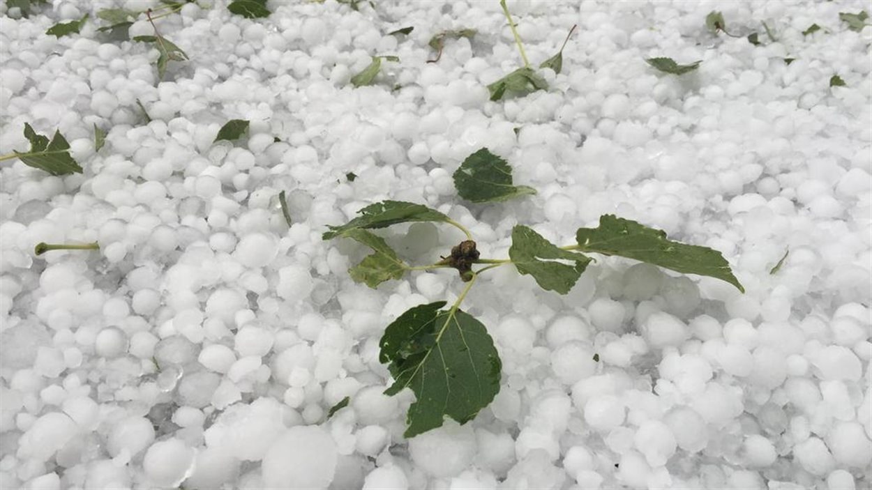 la tempete de grele de calgary en images radio canada ca