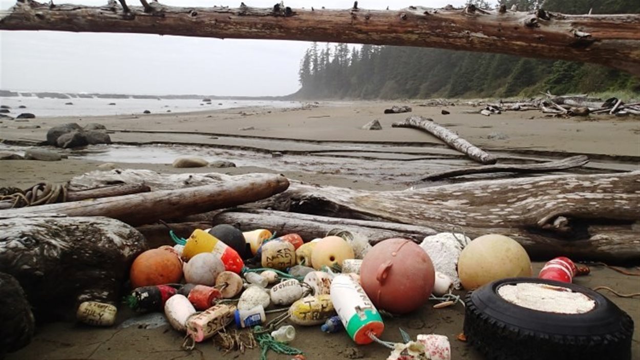 Des milliers de tonnes de débris dérivant depuis le tsunami de 2011 au Japon jonchent les côtes de lÎle de Vancouver. bouées, pneus divers sur la plage, avec inscriptions japonaises.