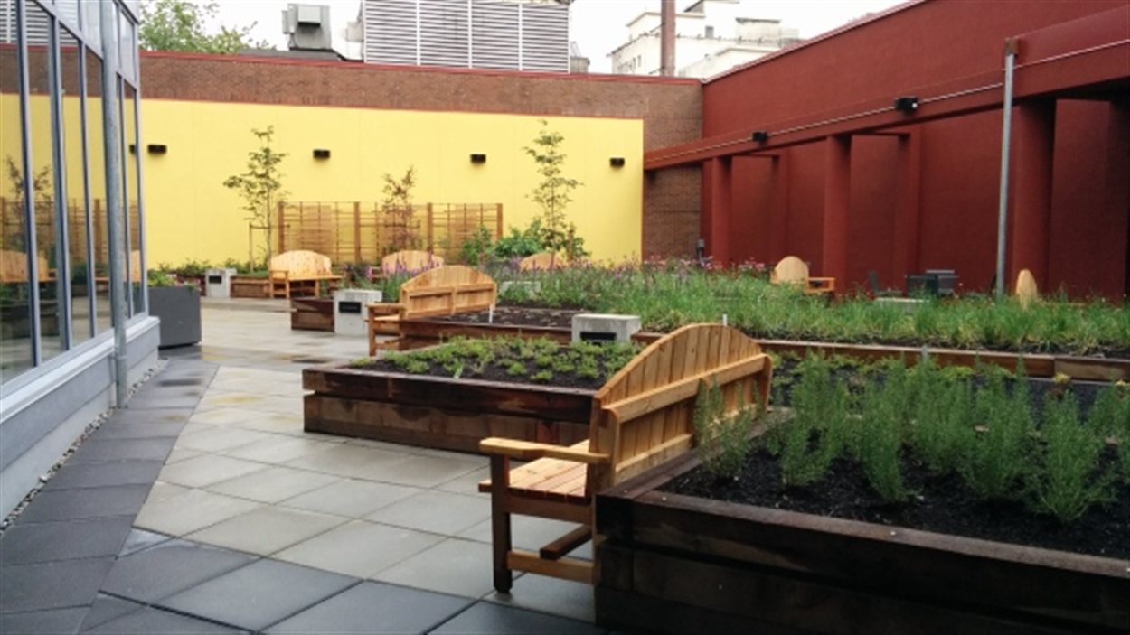 Le jardin commun sur le toit du nouvel immeuble à logements locatifs abordables, situé au coin des rues Gore et Powell à Vancouver.