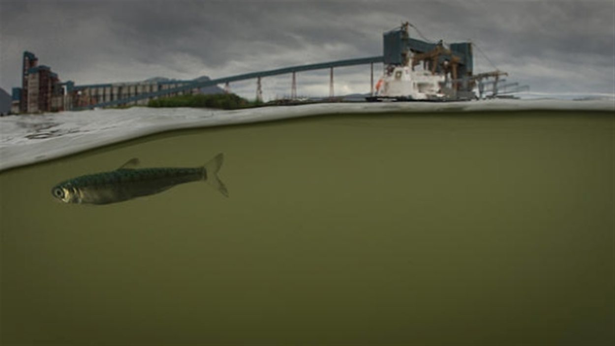 Un croquis du terminal de GNL dans l'estuaire de la Riviere Skeena