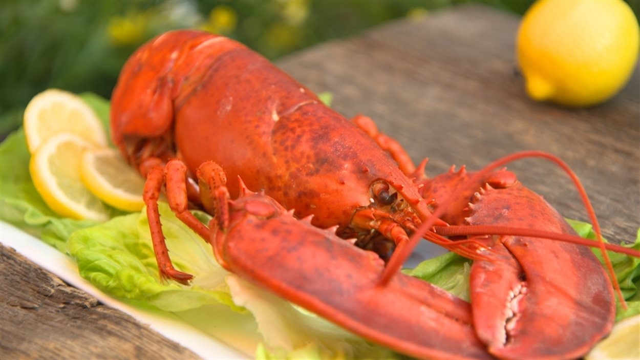 Du homard.