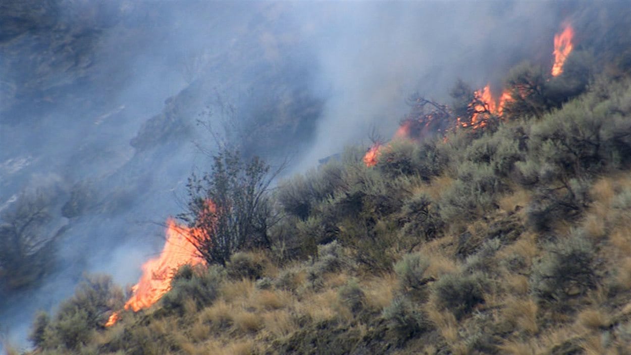 Près de 250 résidents de la vallée de l'Okanagan évacués à cause des feux de forêt peuvent rentrer chez eux.