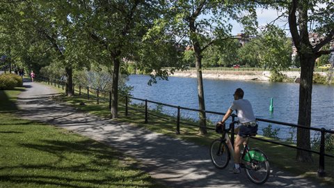 Canal cheap lachine velo