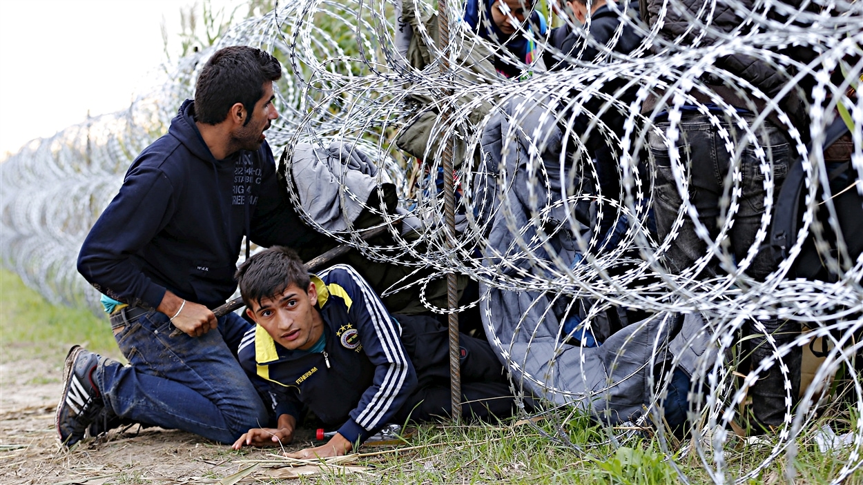 Des migrants passent en Hongrie depuis la frontière serbe