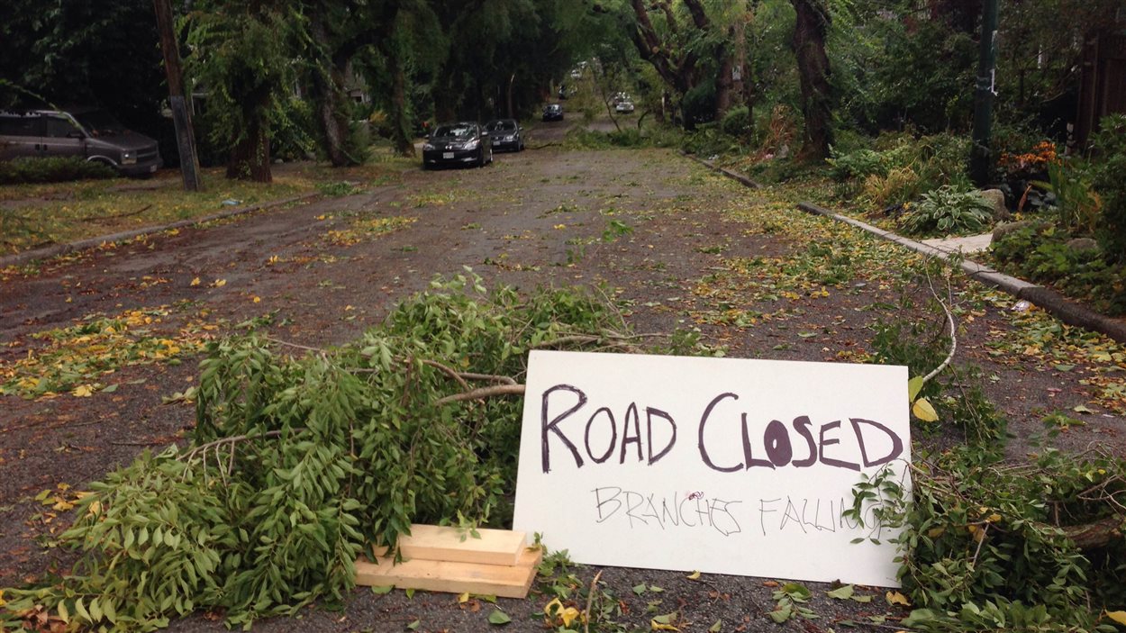 Des résidents de la 6e avenue-est à Vancouver ont fermé eux-mêmes le secteur à cause des nombreuses branches tombées sur la chaussée.
