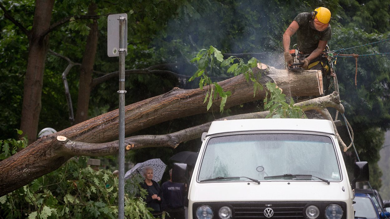 Un homme tente de retirer un arbre tombé sur le toit d'une voiture près du centre-ville de Vancouver.