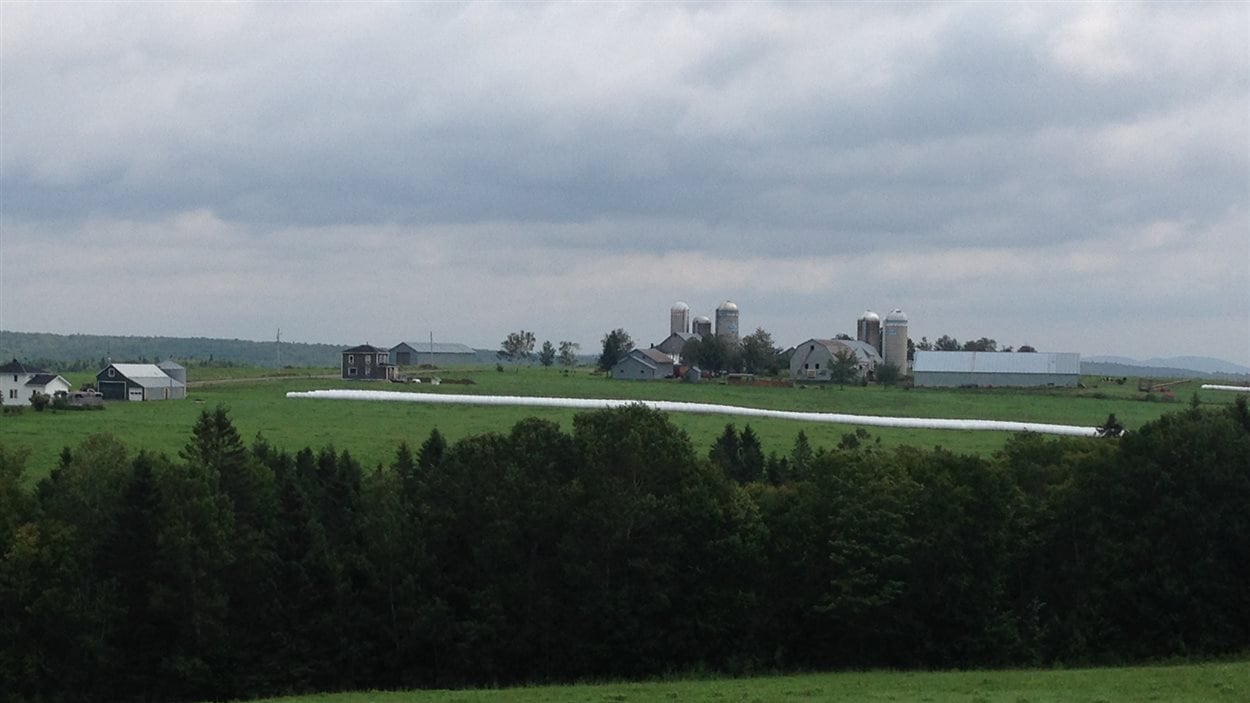 La popularité croissante du beurre fait baisser les revenus des