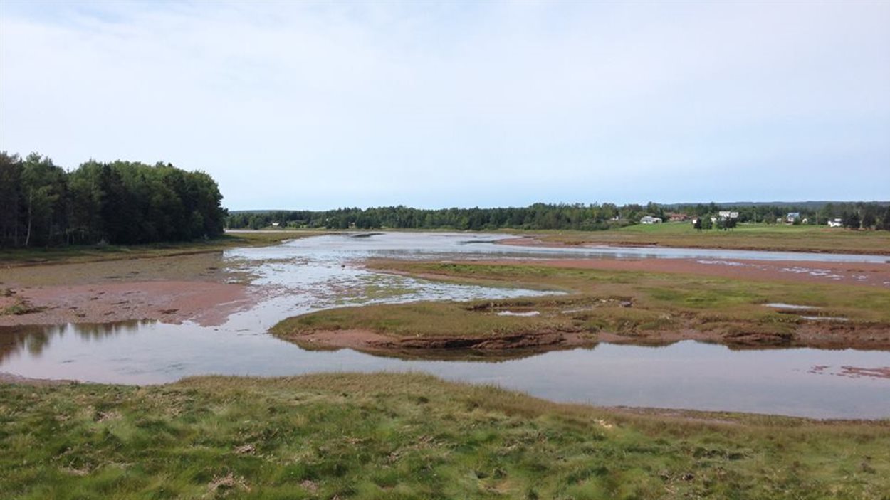Hope Town veut protéger l'intégrité de son barachois RadioCanada