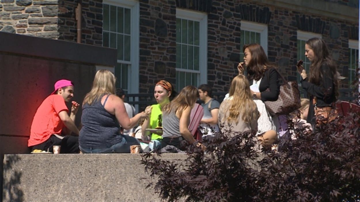 Université Dalhousie
