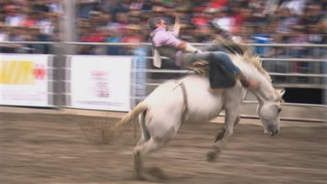 Le rodéo : un sport qui nécessite beaucoup d'entraînement | Radio-Canada
