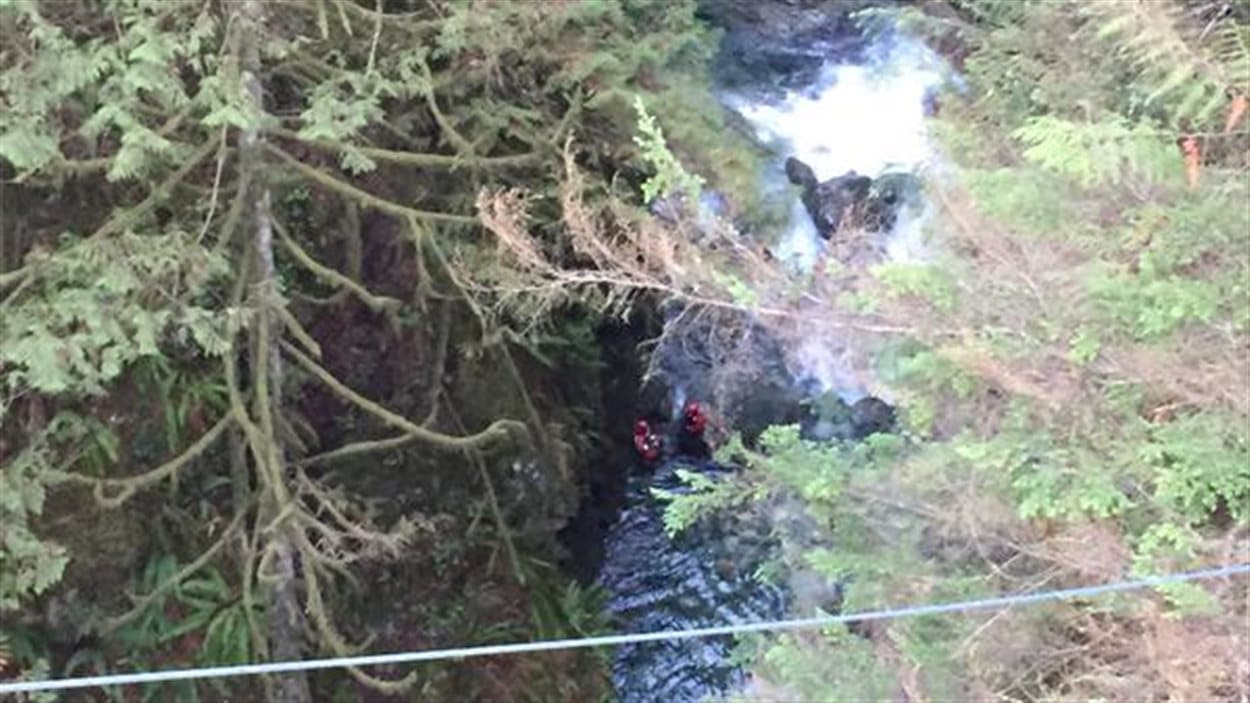 Un homme a perdu la vie lors d'une noyade dans le parc Lynn Canyon.