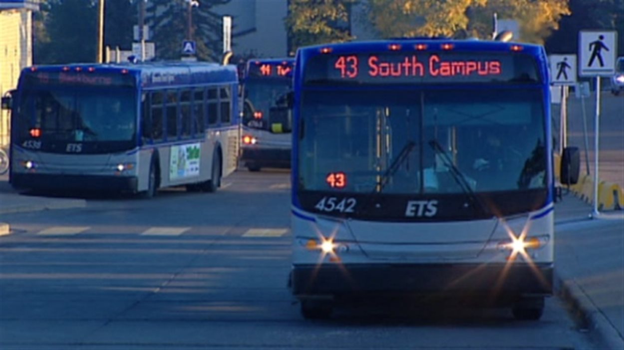Des autobus de la Société des transports d'Edmonton..