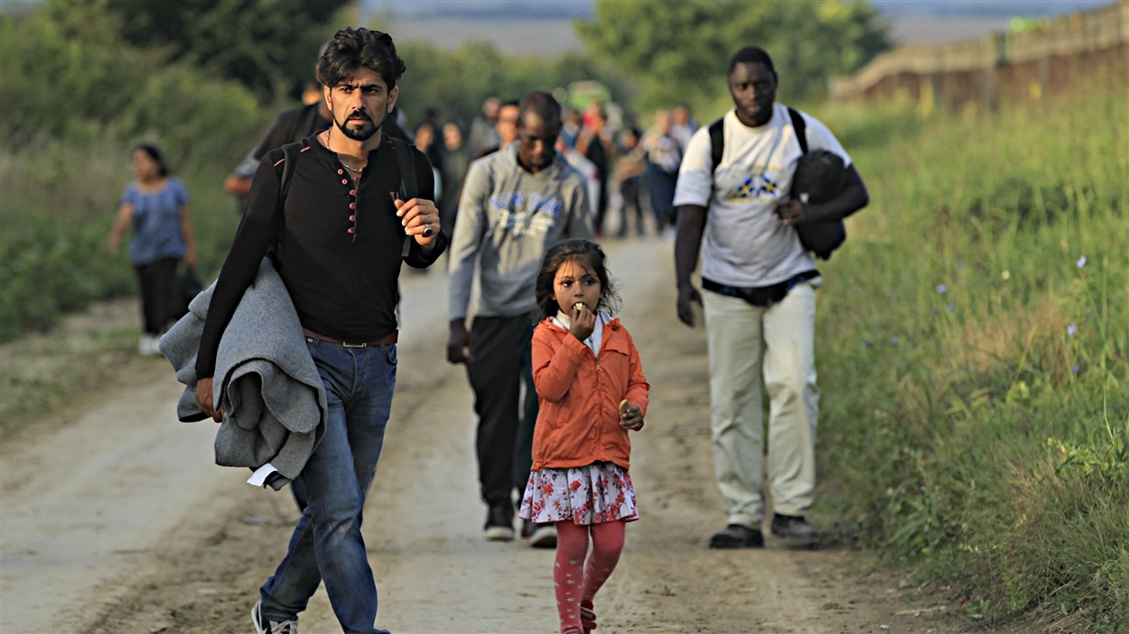 Un groupe de migrants marche du côté serbe de la frontière, près de Sid, en Croatie