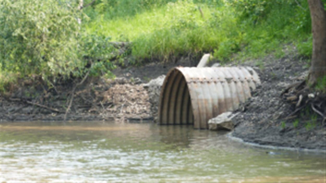 Le point de rejet situé à la confluence de la rivière Seine et de la rivière Rouge à Saint-Boniface a déjà rejetté 6,1 milliards de litres d'eaux usées en raison de failles dans le système d'égoûts.
