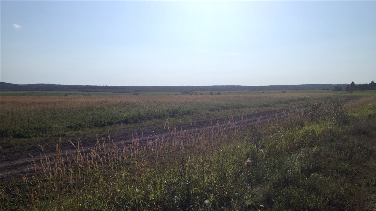 Terre agricole dans le secteur de St-Mathieu-d'Harricana