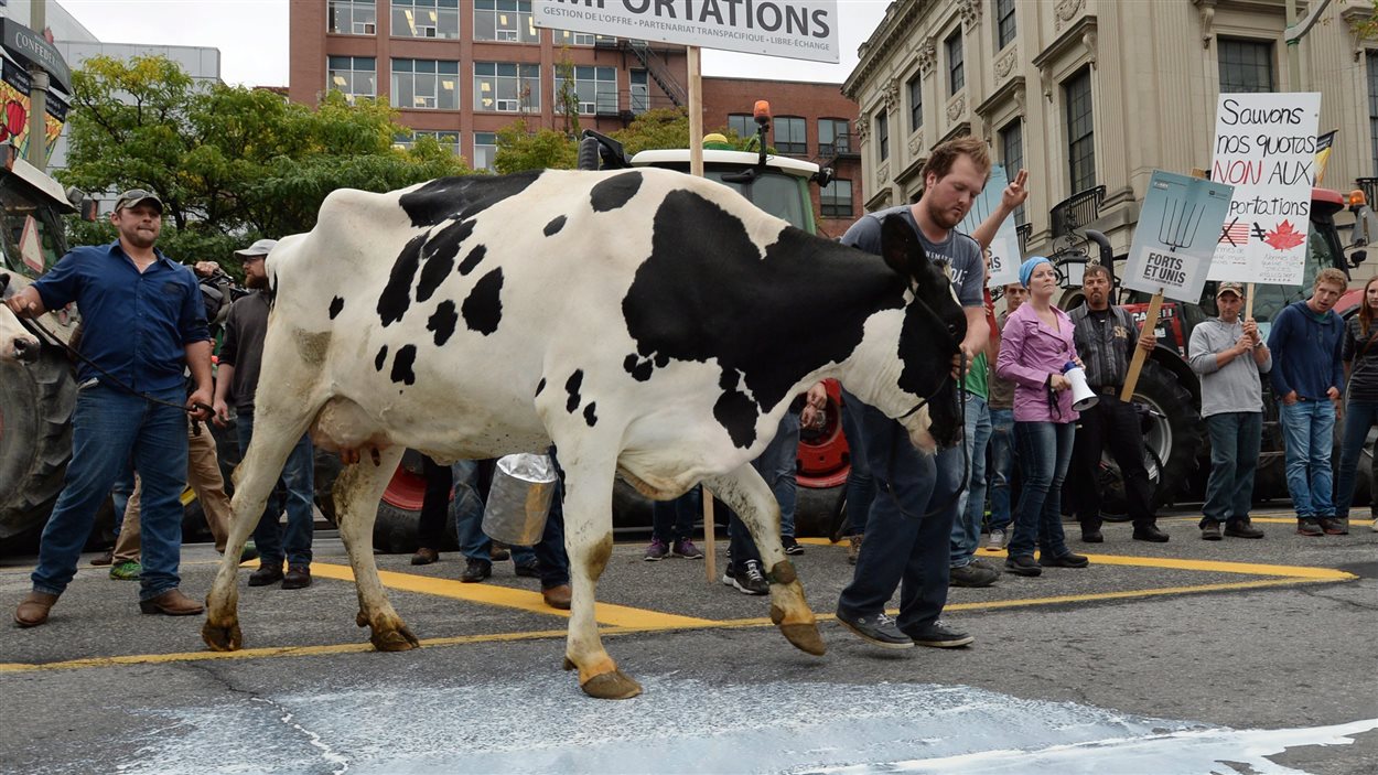 Manifestation de producteurs agricoles qui craignent la fin du système de gestion de l'offre, à Ottawa, le 29 septembre.
