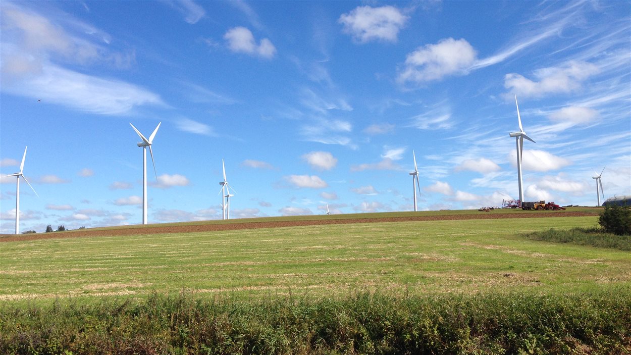 Les éoliennes sont omniprésentes sur la côte ouest de l'Île-du-Prince-Édouard.