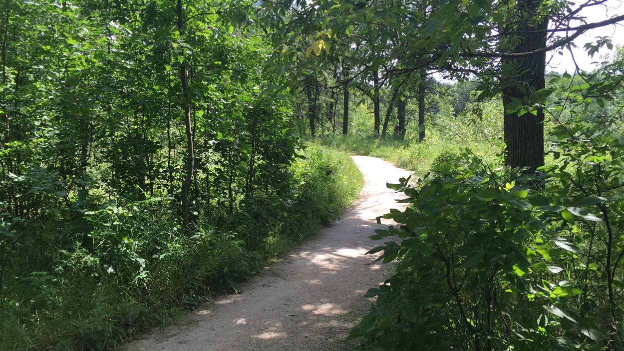 Sentier du Bois-des-esprits, à Winnipeg