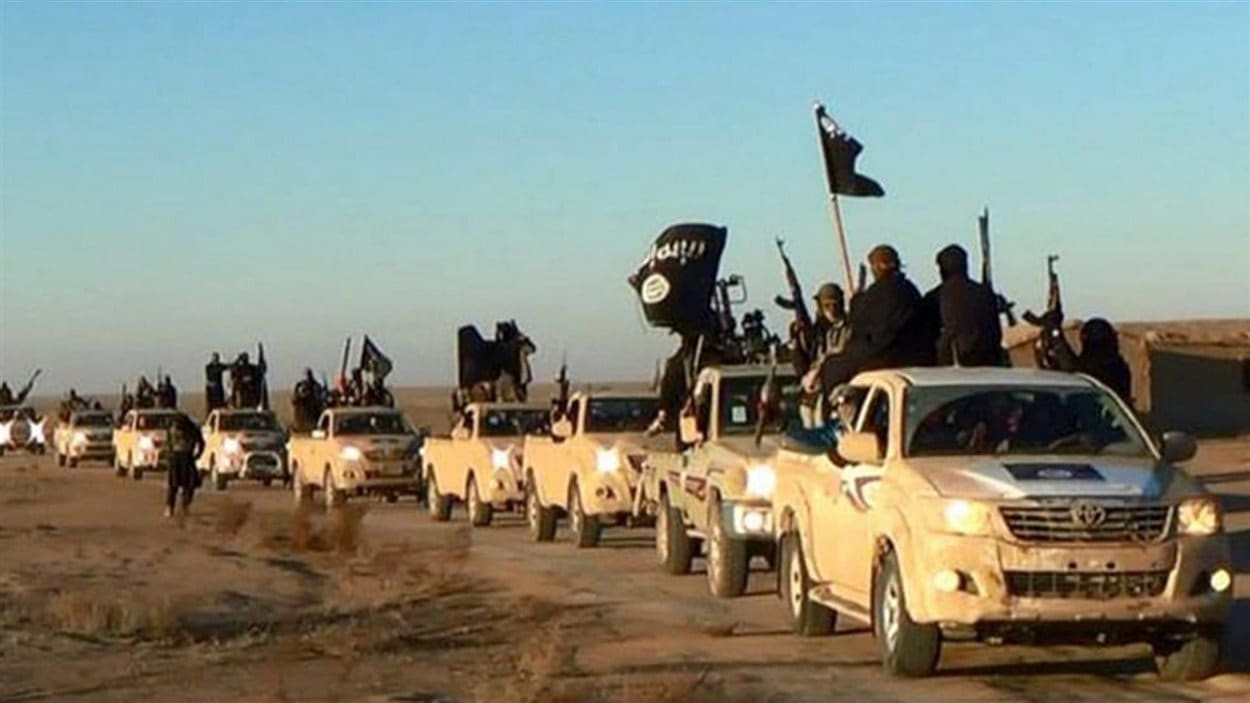 Des combattants de l'EI paradent dans des camionnettes Toyota.