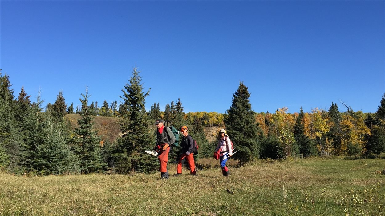Des passionnés de randonnées s'activent à entretenir le sentier Waskahegan, dans la région d'Edmonton.
