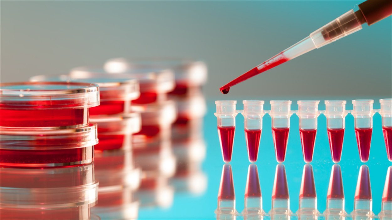 Fioles, recherche laboratoire, santé