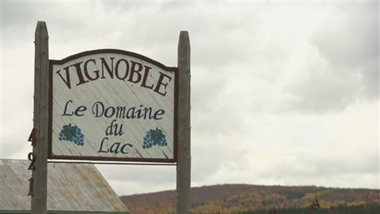 Perte totale au vignoble Le Domaine du Lac à SaintMathieudeRioux
