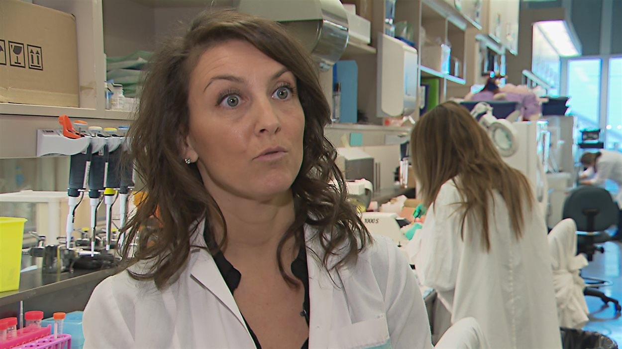 Francesca Cichetti, chercheuse en neurobiologie à l'Université Laval