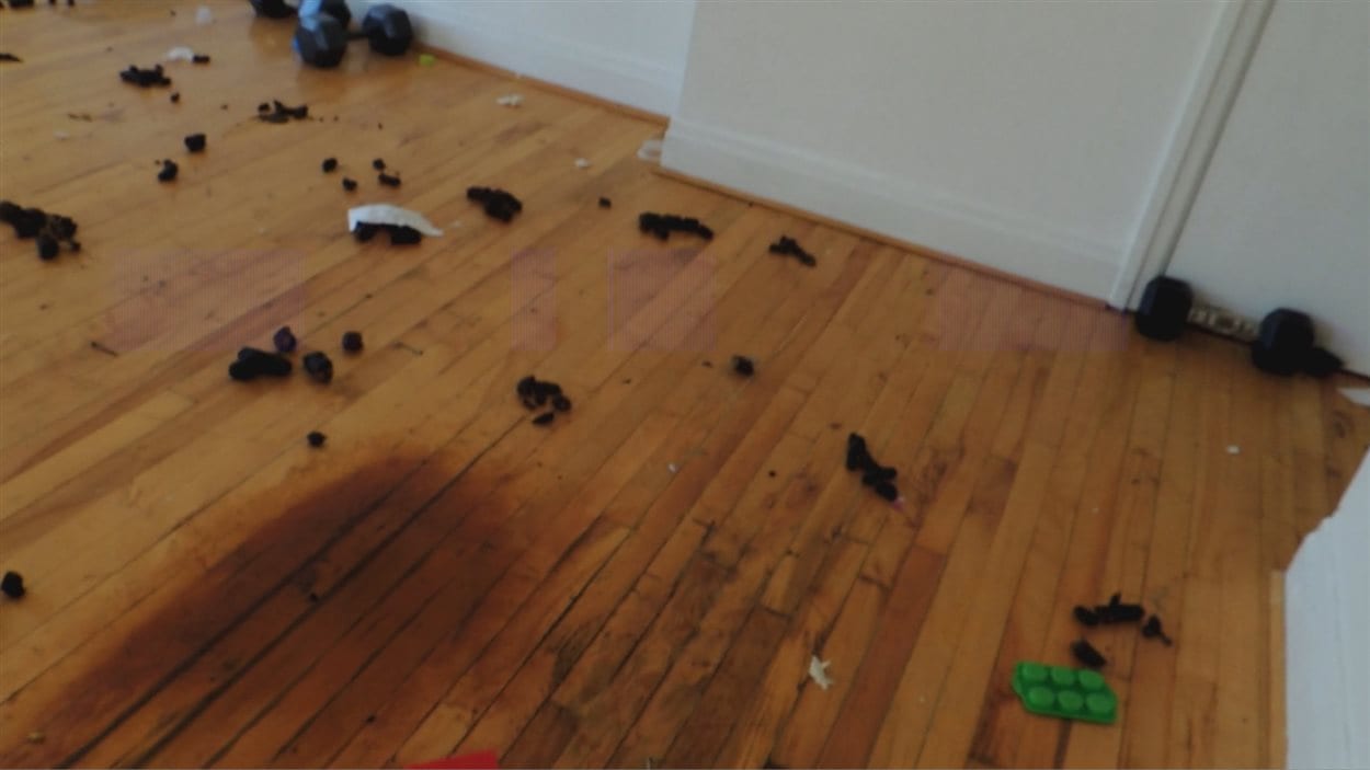 Un appartement complètement saccagé à Asbestos RadioCanada