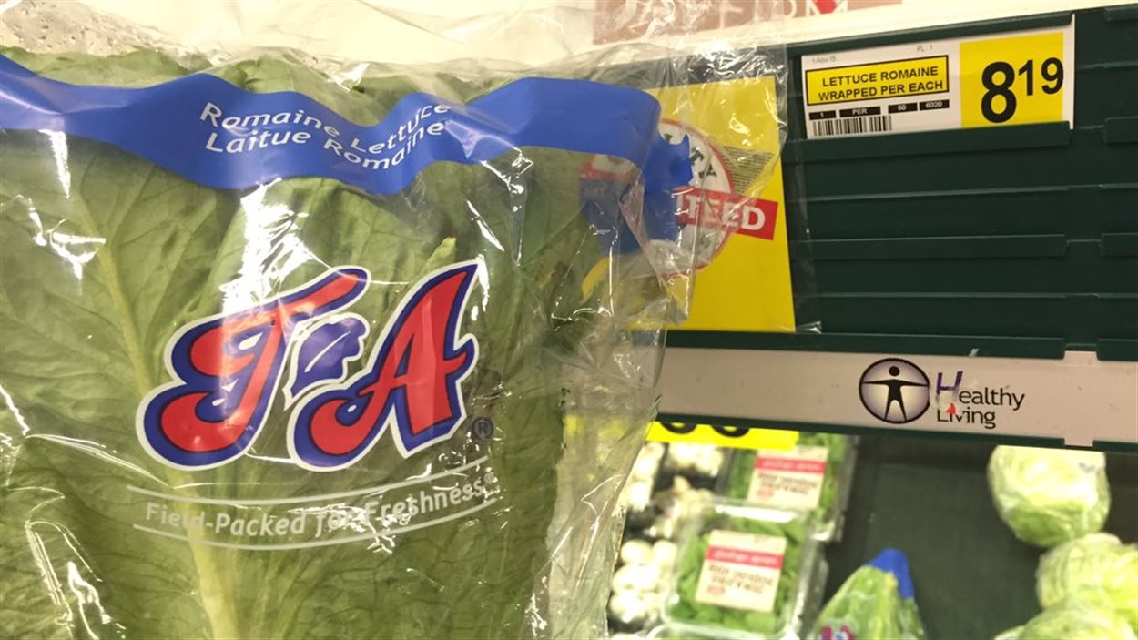 8,19$ pour une tête de laitue dans une épicerie de Churchill, au Manitoba
