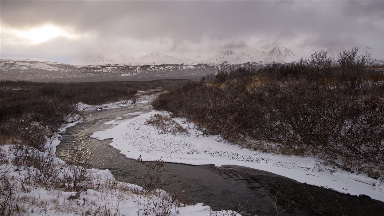 Paysage du Yukon