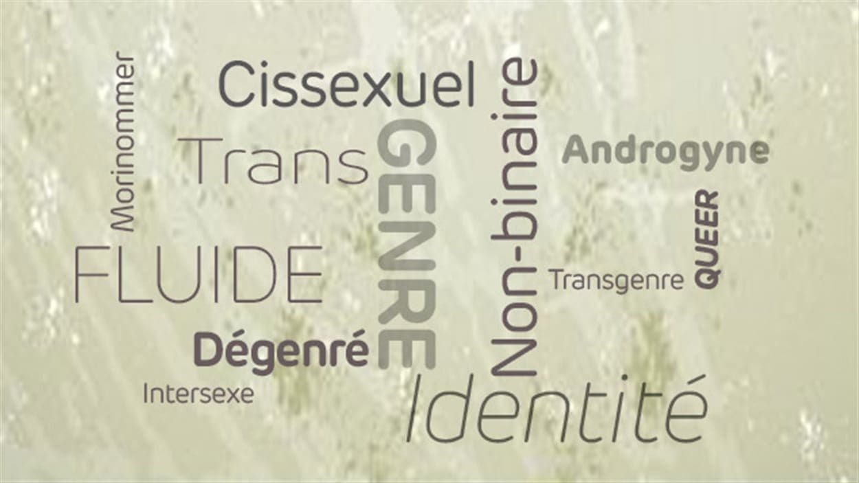 Lexique des identités sexuelles