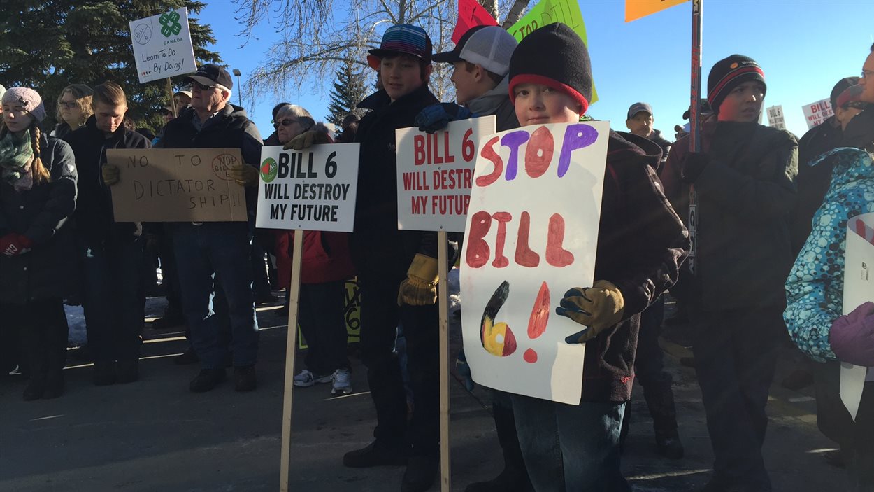 Des manifestants opposés au projet de loi 6 manifestent à Red Deer.