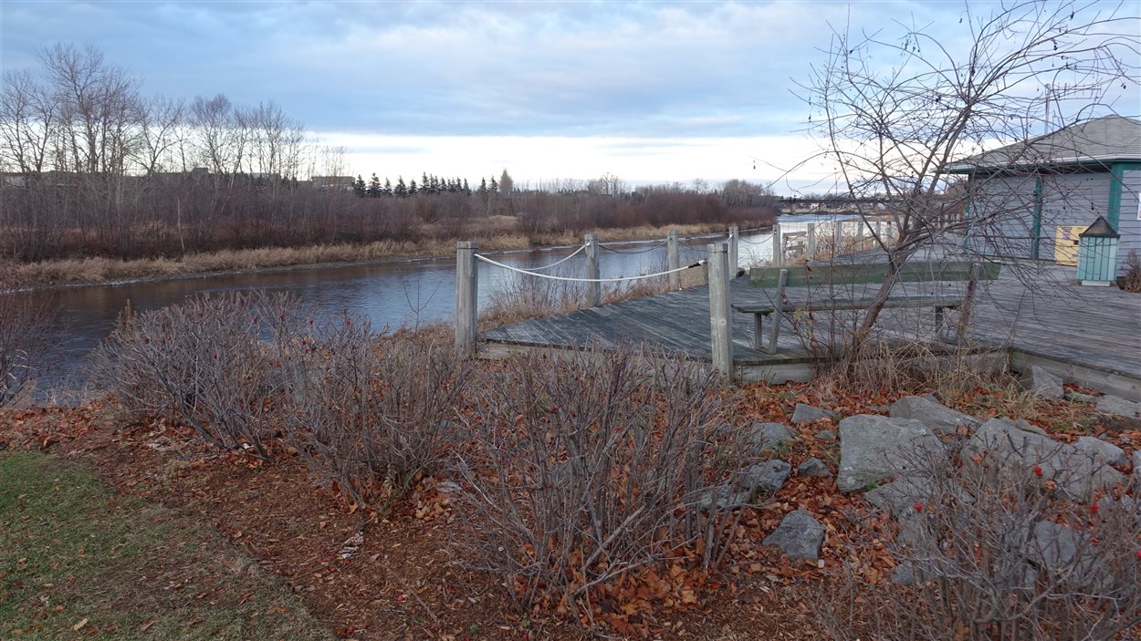 Rivière Rimouski un homme bloqué sur un îlot est secouru RadioCanada