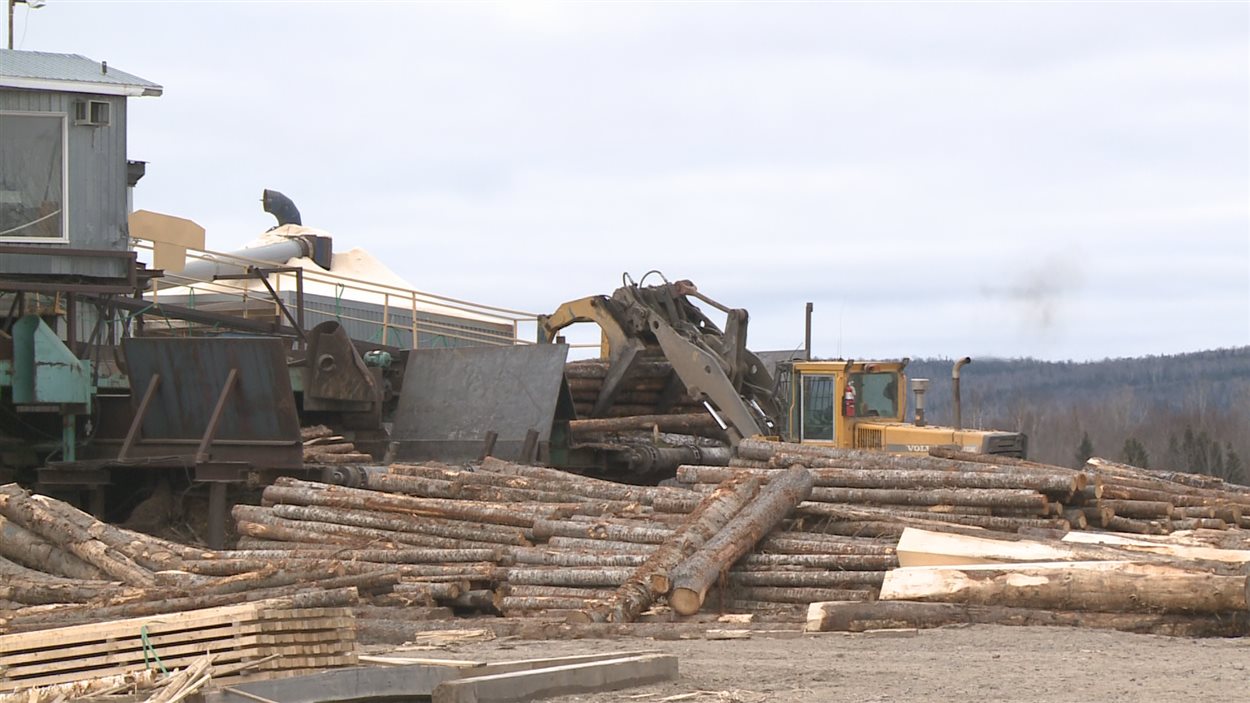 150 emplois menacés à la scierie de SaintElzéar RadioCanada