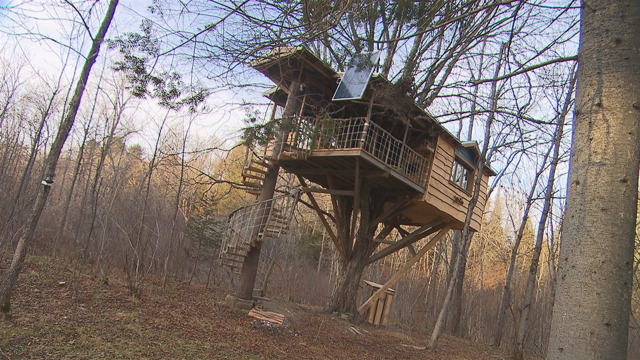 Vivre Dans Une Cabane Dans Un Arbre Radio Canada Ca