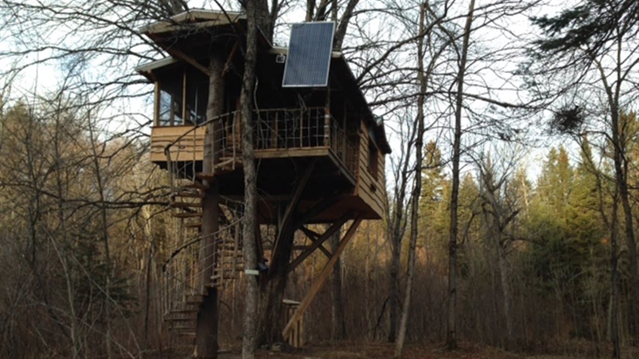 Vivre Dans Une Cabane Dans Un Arbre Radio Canada Ca