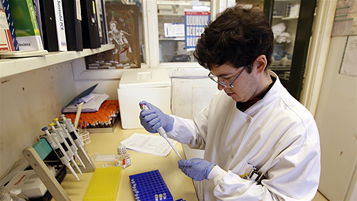 Les scientifiques cherchent des solutions aux bactéries ultra-résistantes aux antibiotiques.