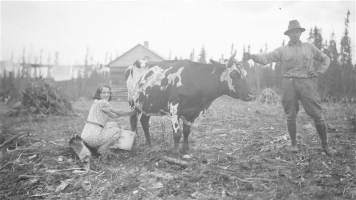 Une femme trait une vache pendant qu’un homme tient la bête par une corne.