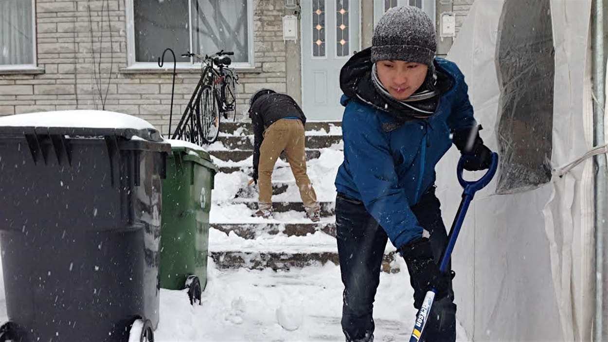 Des déneigeurs de l'application WeDo.