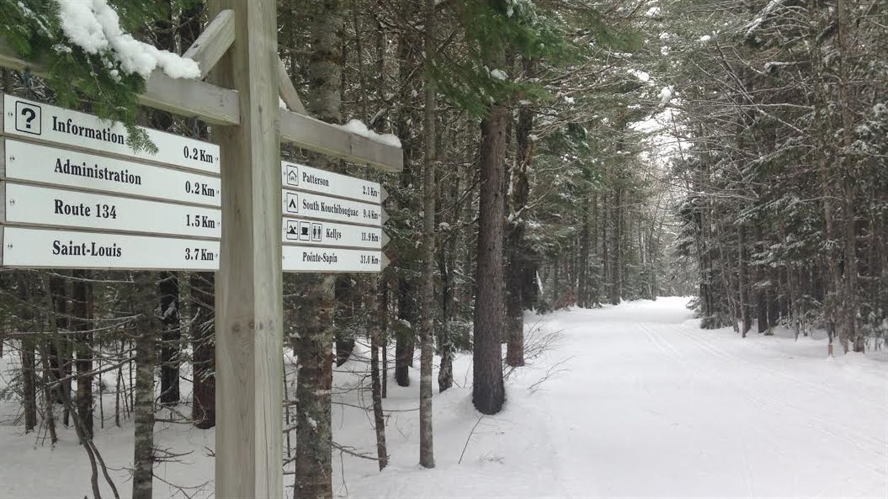 Sports d'hiver la saison commence bien à Kouchibouguac RadioCanada