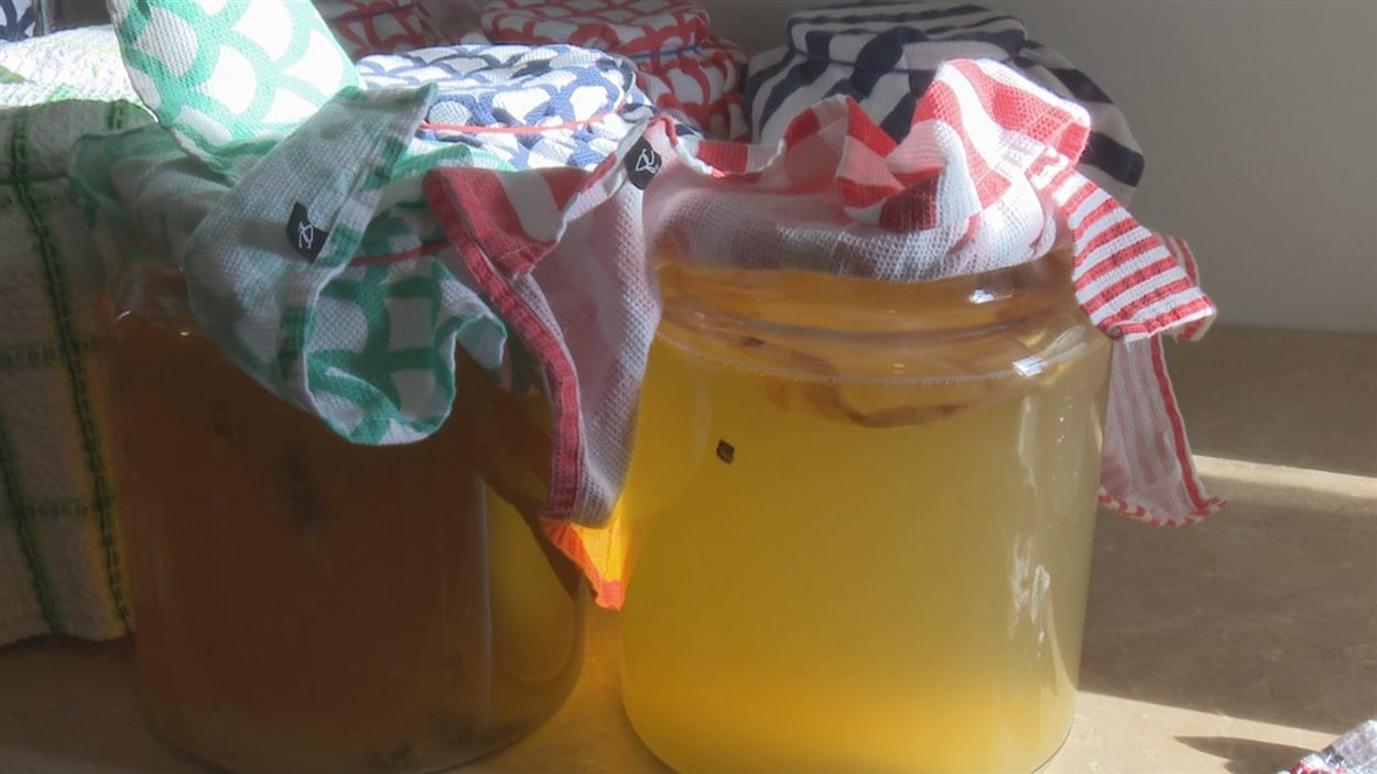 Le kumbucha est fait à partir de thé vert, de sucre et de bactéries de fermentation