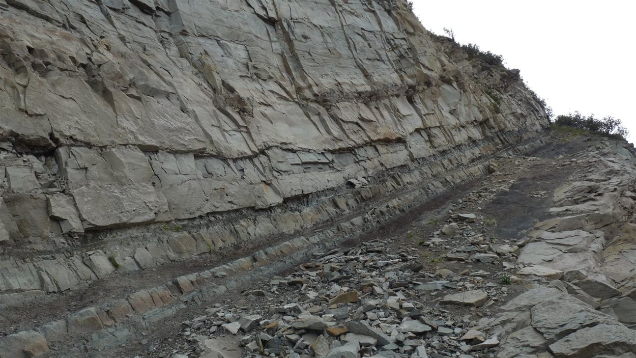 Falaise à l'Anse-à-Brillant où plusieurs fossiles ont été retrouvés