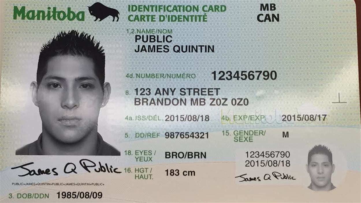 Www id cards ru. Identification Card. Ирак ID Card. ID Card фото. ID Card Канада.