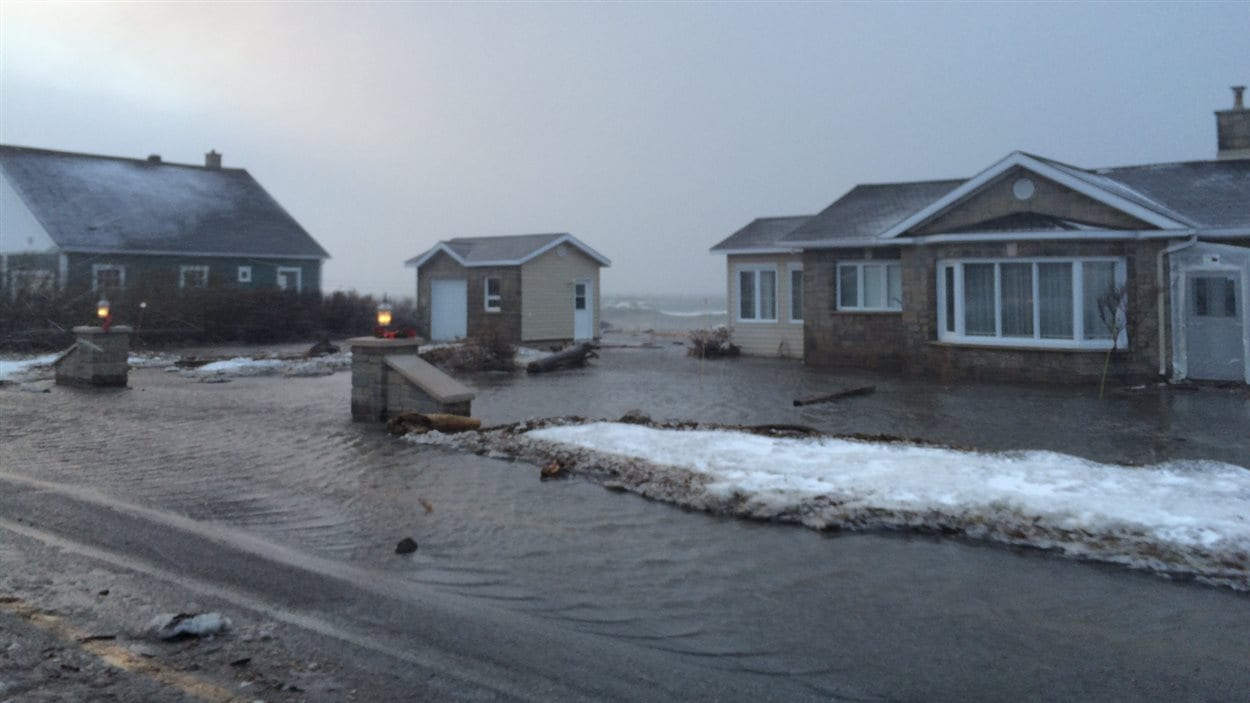 Un terrain inondé à Matane-sur-Mer.