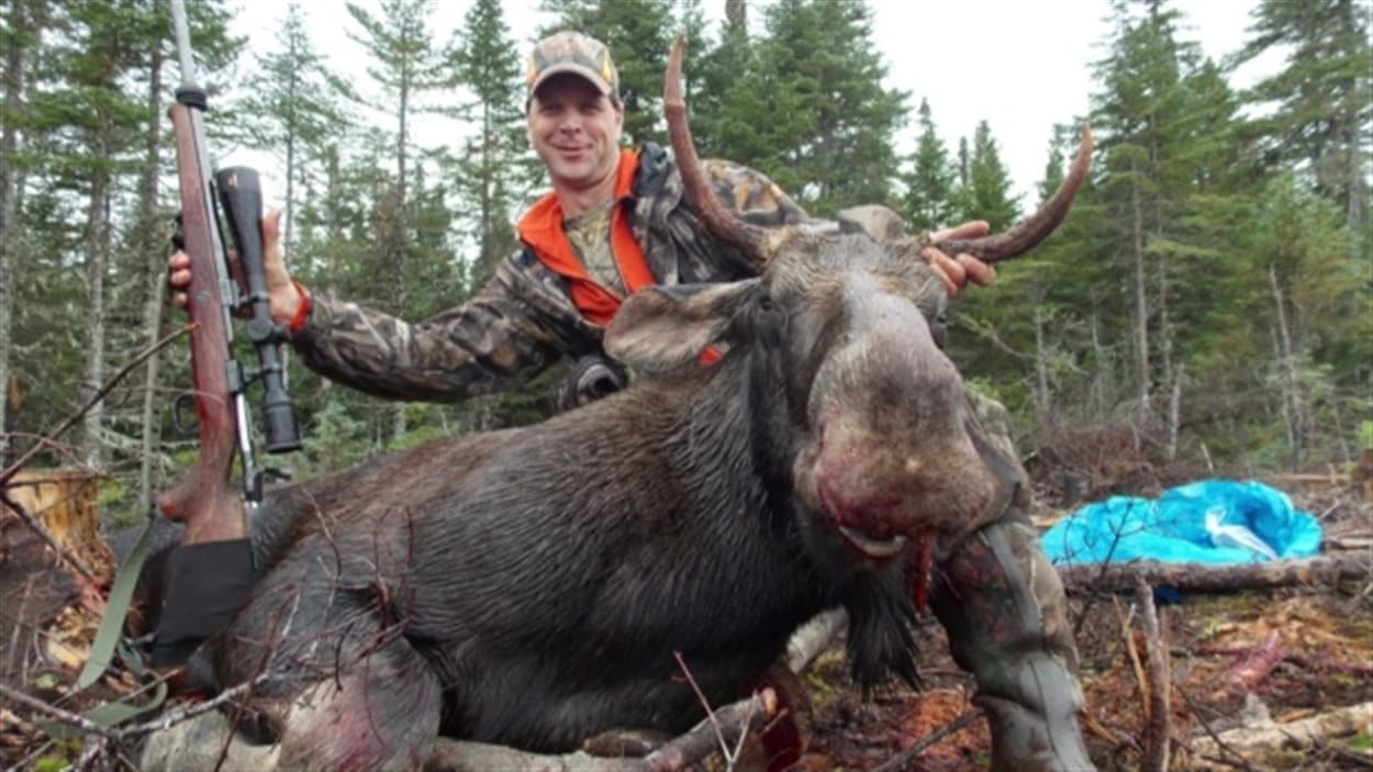 Les pourvoyeurs, comme Trevor Pilgrim de Roddickton, comptent sur la venue de chasseurs des États-Unis et d'Europe.
