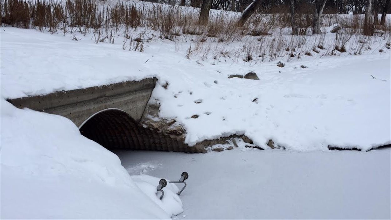 Les eaux usées se jettaient dans la rivière Rouge depuis ce ponceau, situé dans le parc Saint-John's, dans le nord de Winnipeg.