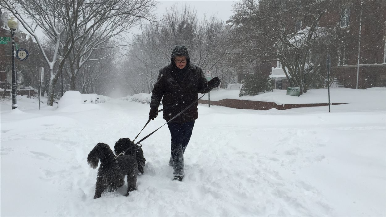 Un homme promène son chien en pleine tempête à Washington.