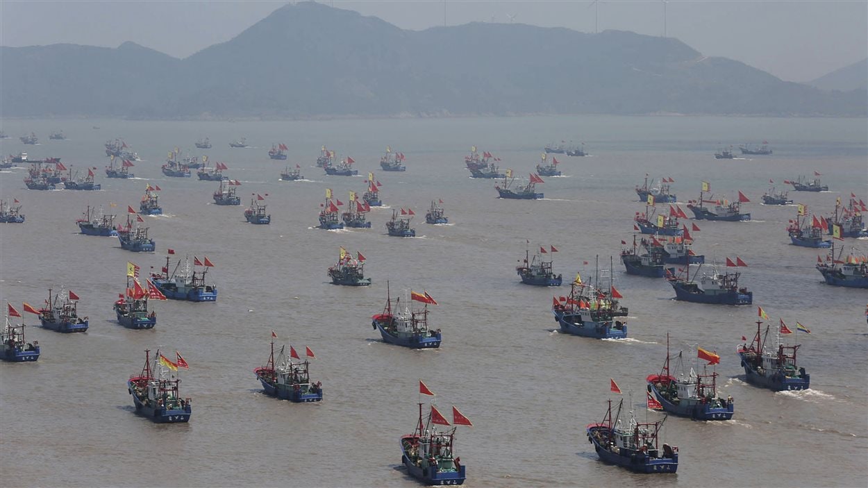 Des milliers de bateaux de pêche partent en mer le 16 septembre 2015 à Ningbo, en Chine, après un moratoire de trois mois et demi dans la mer de Chine orientale. 