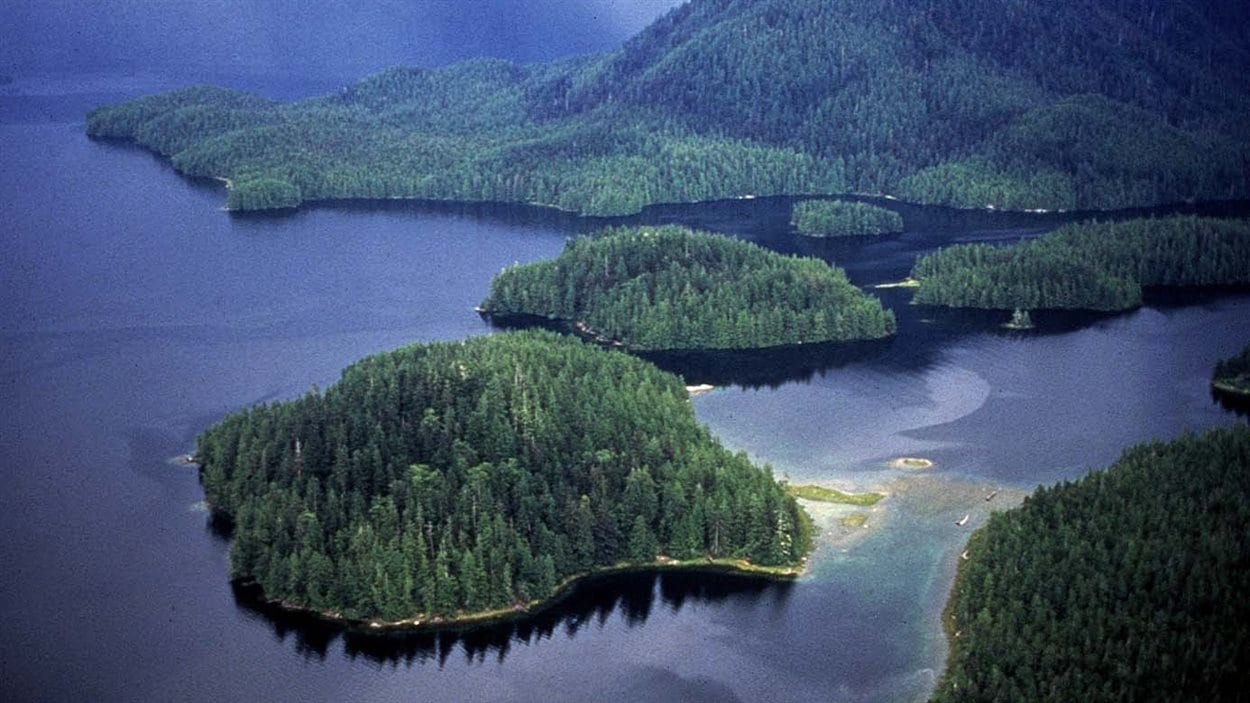 Visite royale en appui à la forêt du Grand Ours RadioCanada
